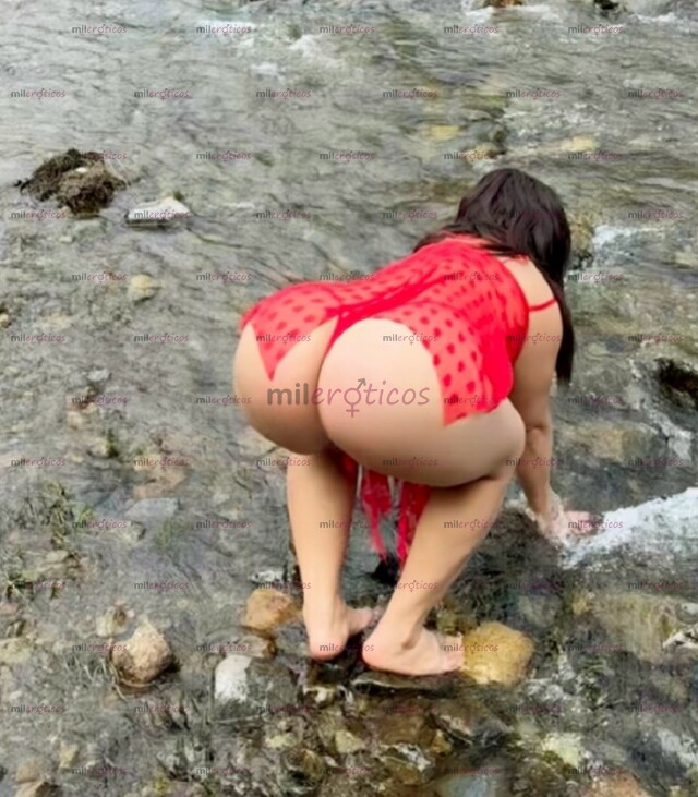 FOTOS DE HOLA CÓMO ESTÁS SOY PALOMA TE OFREZCO DESDE MISIONERO DULCE HASTA PERRA SALVAJE