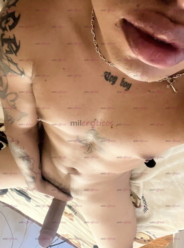 FOTOS DE POLLO TATUADO VERGON FULL MORBOSO LA MEJOR EXPERIENCIA MORENO CALIENTE 20 CM VIP