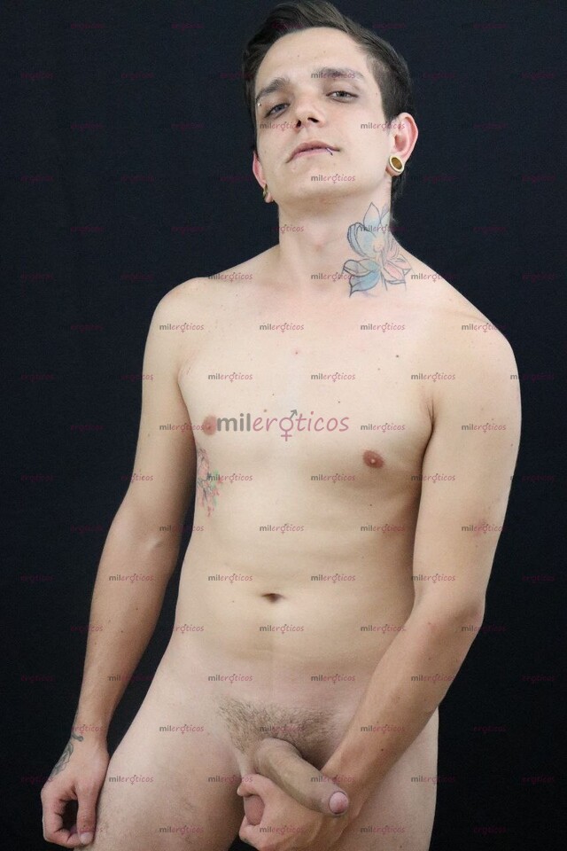 FOTOS DE RECLUTANDO PARA CUARTETO WEBCAM GAY POR FLORESTA