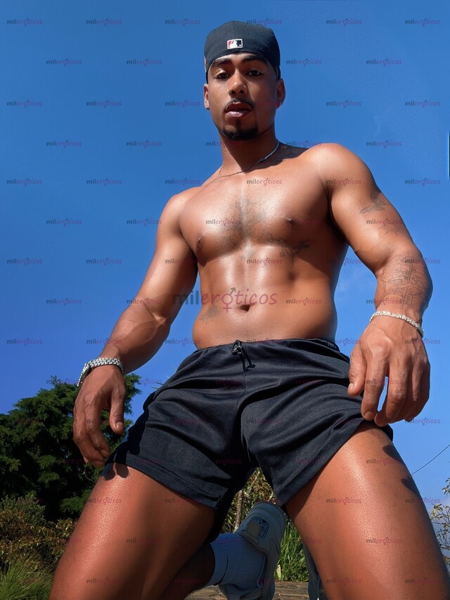 FOTOS DE VOLEO CHIMBO A PERRITA TRAGONA CON SITIO EN MEDELLIN