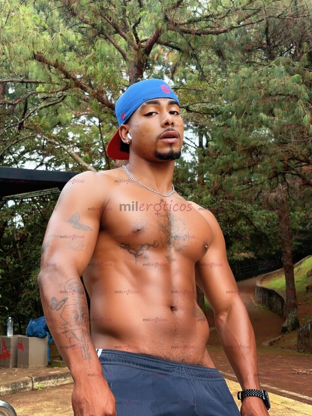 FOTOS DE VOLEO CHIMBO A PERRITA TRAGONA CON SITIO EN MEDELLIN