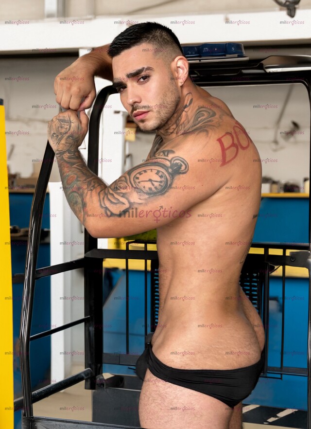 FOTOS DE SOLO VENTA DE CONTENIDO VERGON LECHERO VERSÁTIL 100% REAL