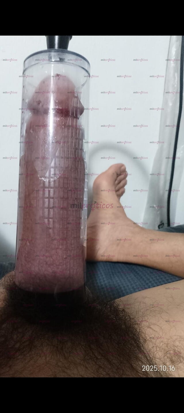 FOTOS DE 21 CMS. D CARNE. BURRO JAROCHO, VERGÓN GRANDE Y CABEZÓN, DOS MANOS CABEZA LIBRE.