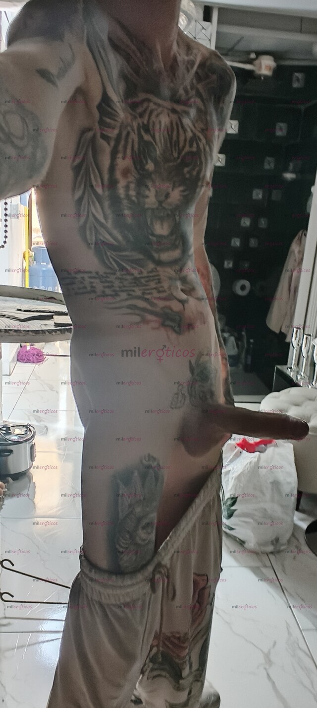 FOTOS DE FLACO ACTIVO BLANCO TATUADO VERGON RESERVADO