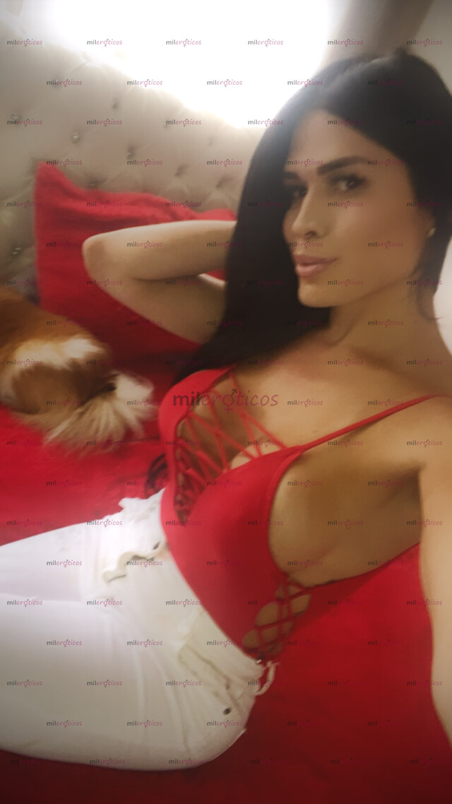 FOTOS DE WOW !!! LA MEJOR TRANS DE BOGOTÁ SOLITA PARA TI 3124340202