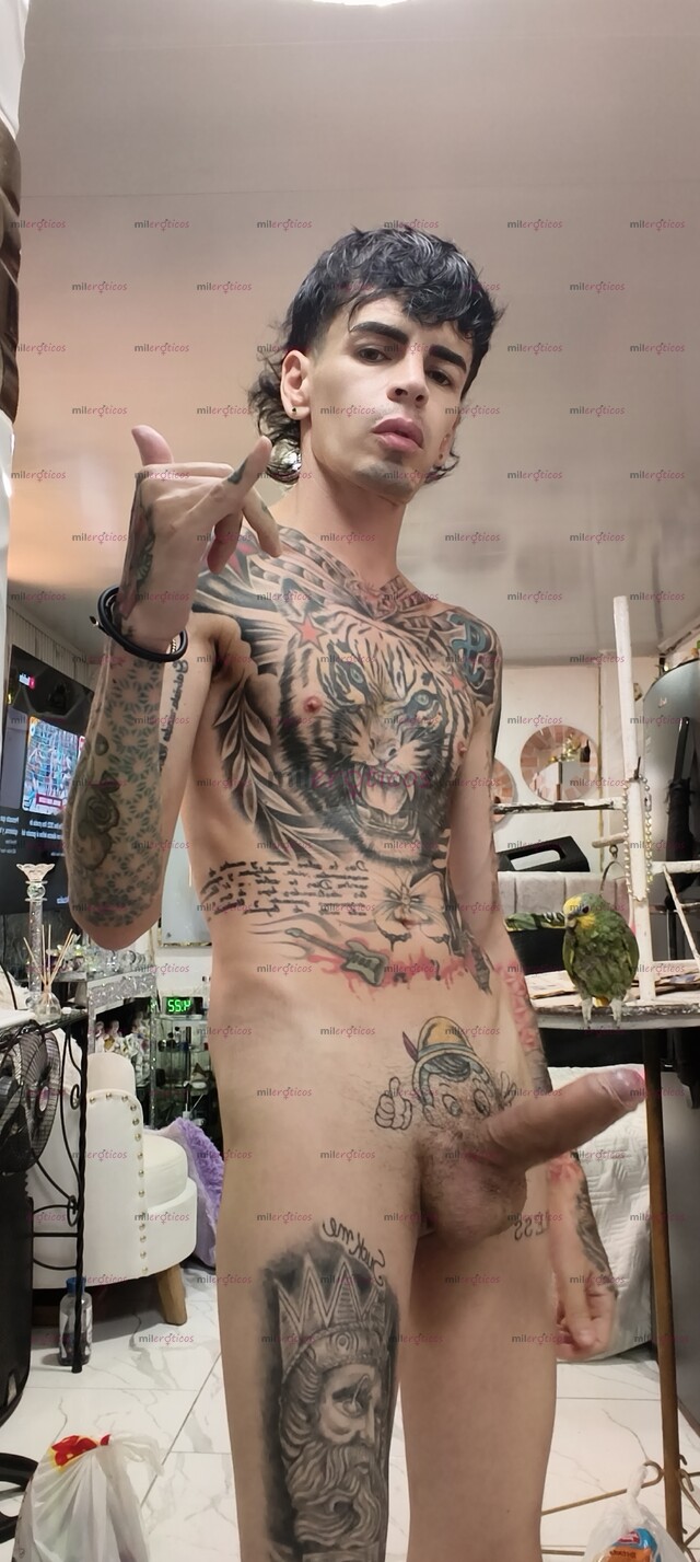 FOTOS DE FLACO ACTIVO BLANCO TATUADO VERGON MORBOSO