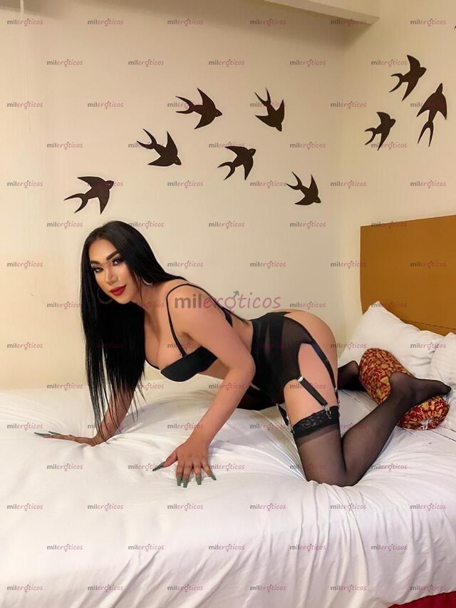 FOTOS DE SI QUIERES CALIDAD ESTÁS EN EL PERFIL CORRECTO