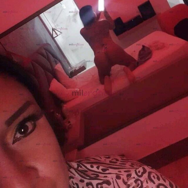 FOTOS DE CHICA TRANS CALIENTE Y COMPLACIENTE, CARIÑOSA Y SUPER FOGOSA ARDIENTE EN LA CAMA