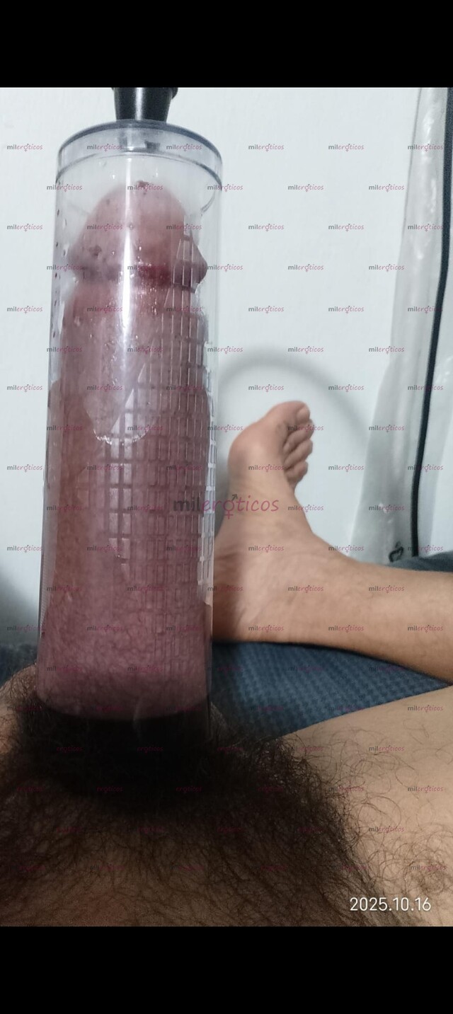 FOTOS DE HORSE HUNG, VEINTIUN CENTÍMETROS,2 MANOS CABEZA LIBRE, EXC TRATO, AMABLE