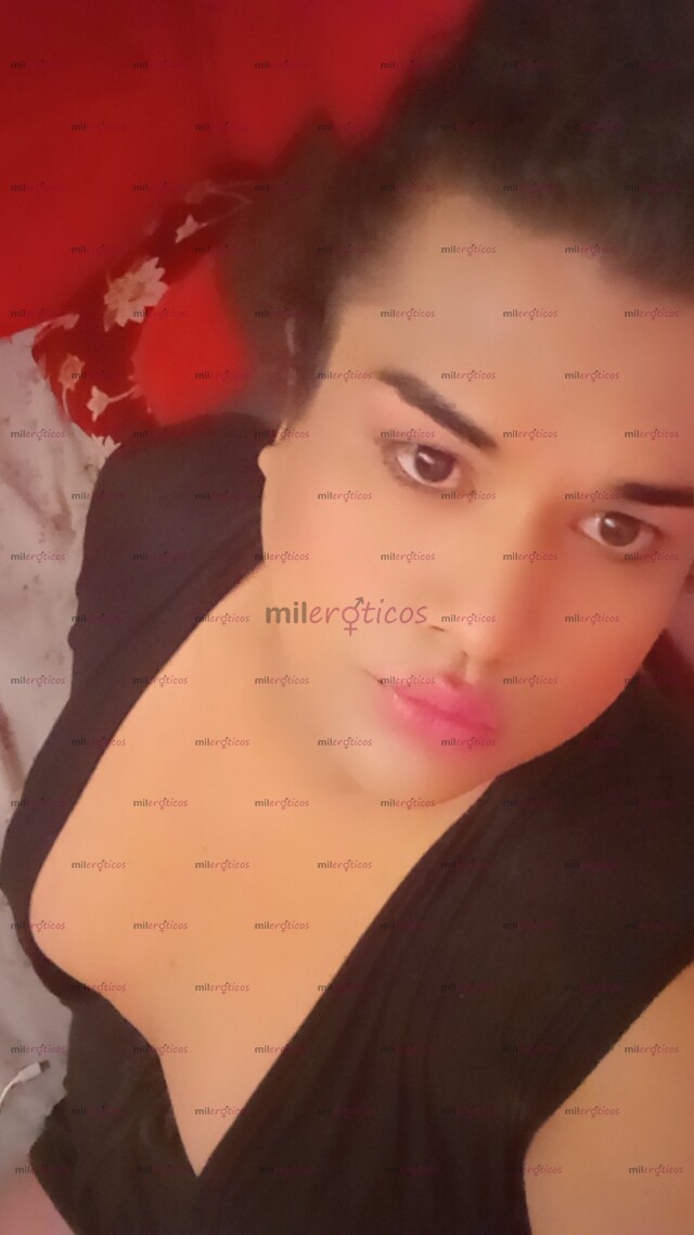 FOTOS DE TRANS GORDITA DISPONIBLE SUPER PUTA Y CALIENTE