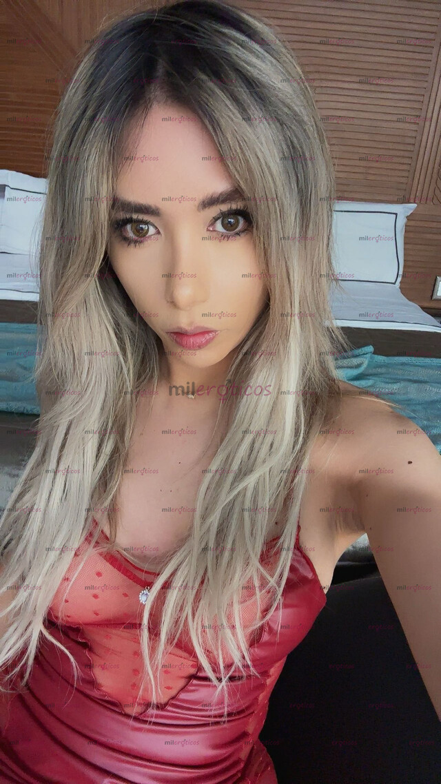 FOTOS DE TRANSEXUAL INTERACTIVA ( TRÍOS H M H H) ÚNICOS 2 DÍAS A PARTIR DEL 16 )) $2500