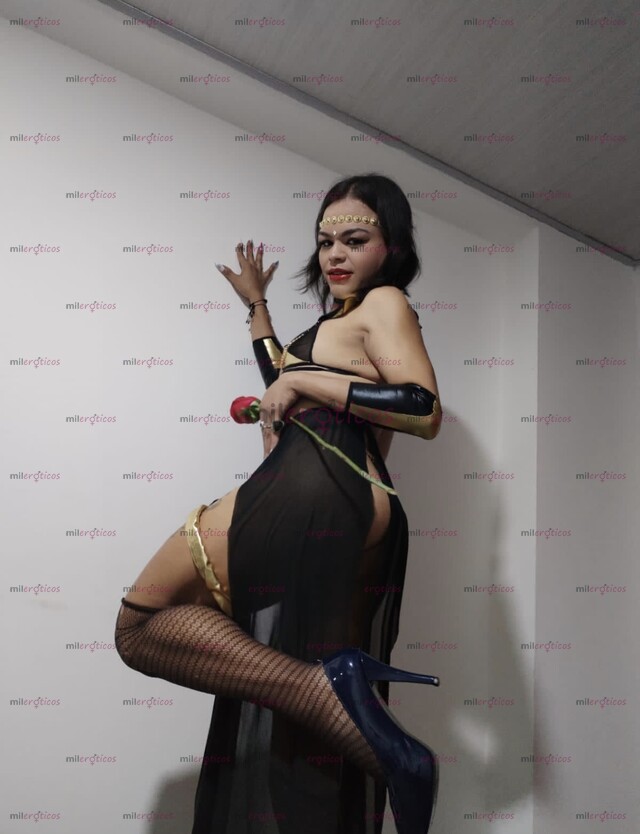 FOTOS DE EN CAJICA AMOR LA PERRA Q BUSCAS VEN ESTA DELICIOSA PERRITA TE CUMPLE FANTASÍAS