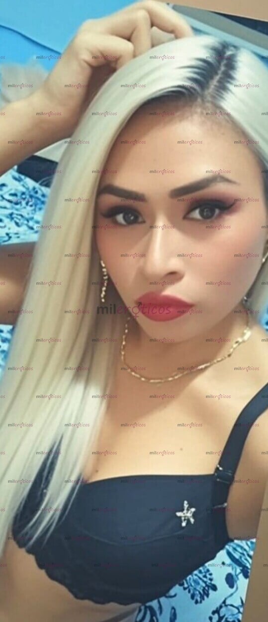 FOTOS DE CHICA TRANS CACHONDA LISTA PARA CUMPLIR TU FANTASIAS