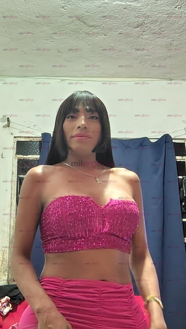 FOTOS DE JAROCHA TRANS FIESTERA,SOLO SERIOS Y SOLVENTES