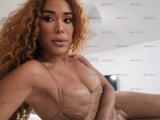 FOTOS DE MORENITA SEXY BUSCO CULOS Y PERRITAS THE PERFECT MISTRESS