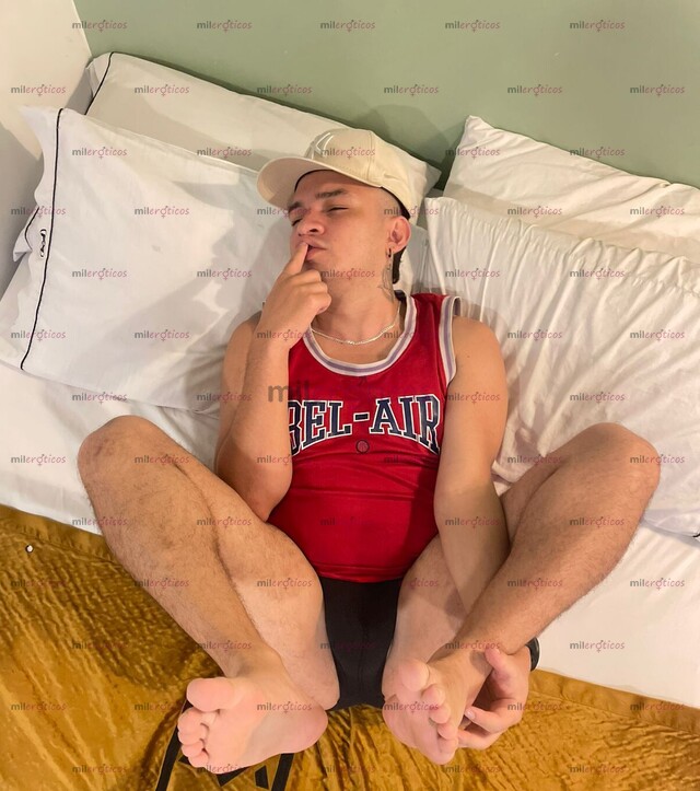 FOTOS DE VERGON, COMPLACIENTE, VERSÁTIL, PAISA, 20 CMTS ESCRÍBEME