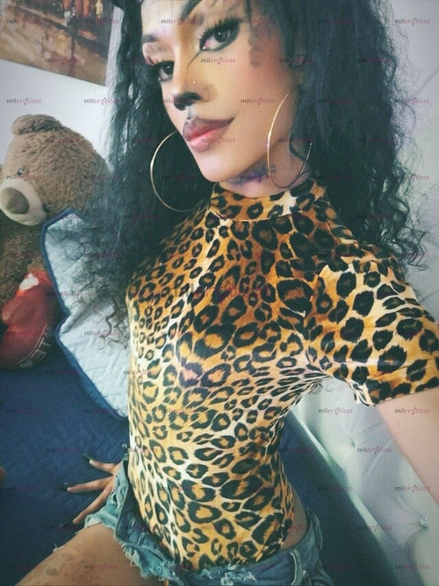 FOTOS DE HOLA BBYS SOY UNA NENA TRANS DE PIEL CANELA BIEN DOTADA DISPUESTA A COMPLACERTE