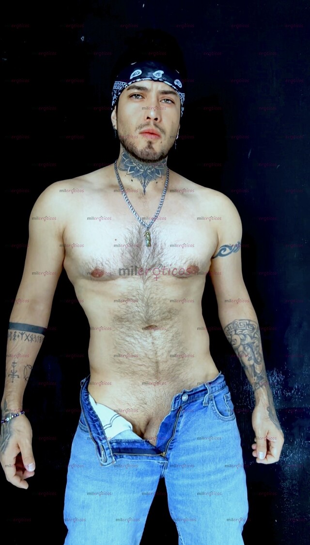 FOTOS DE CHACAL VARONIL 18CM COMPLACIENTE Y APASIONADO