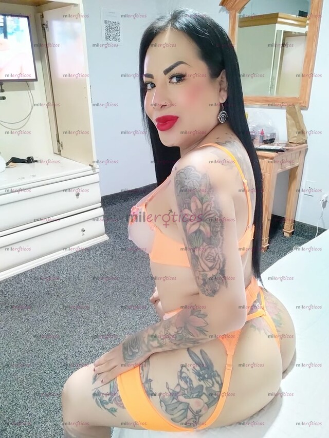 FOTOS DE DE REGRESO A TU CD X CORTA TEMPORADA VANESA FOXXY LA TRANS MAS CALIENTE
