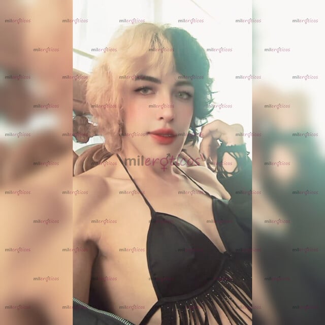 FOTOS DE GATITA MAKI MORNINGSTAR WEBCAM SERVICIOS HOT