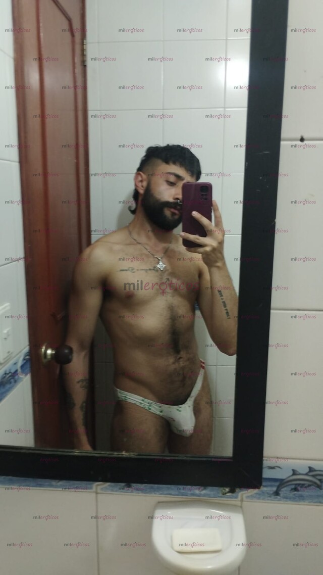 FOTOS DE CERDO SIN CASI LÍMITES VERSÁTIL COMPLACIENTE PELUDO Y BARBADO