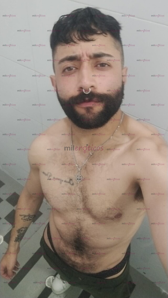 FOTOS DE CERDO SIN CASI LÍMITES VERSÁTIL COMPLACIENTE PELUDO Y BARBADO