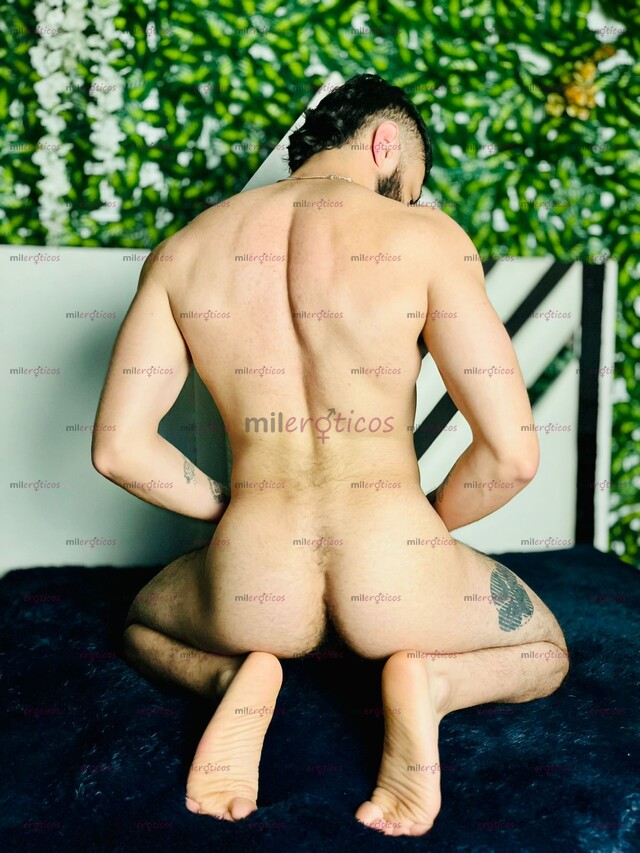 FOTOS DE CERDO SIN CASI LÍMITES VERSÁTIL COMPLACIENTE PELUDO Y BARBADO