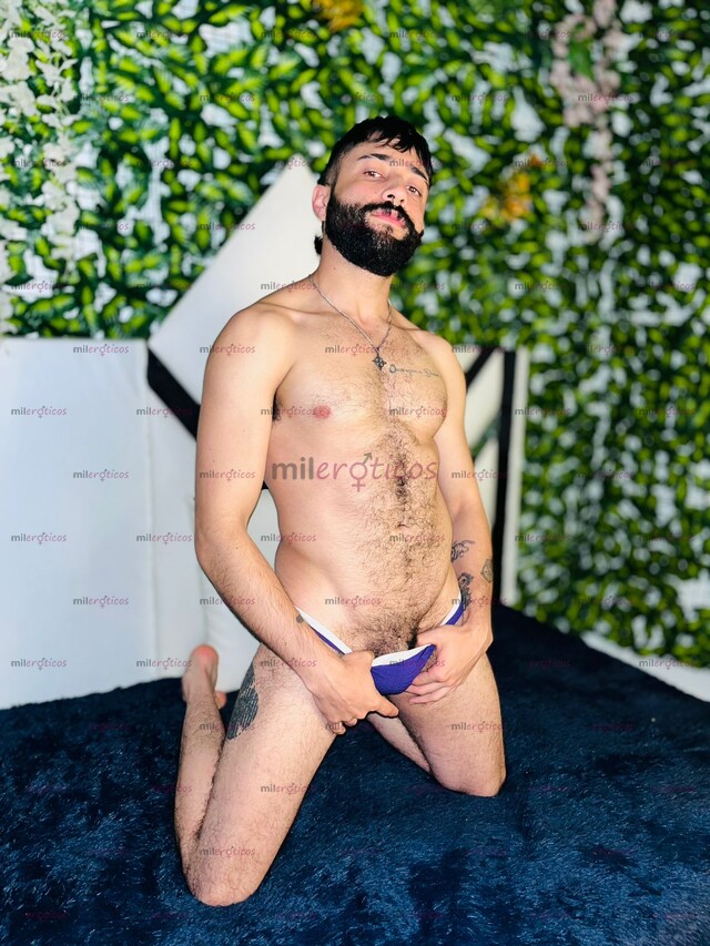 FOTOS DE CERDO SIN CASI LÍMITES VERSÁTIL COMPLACIENTE PELUDO Y BARBADO