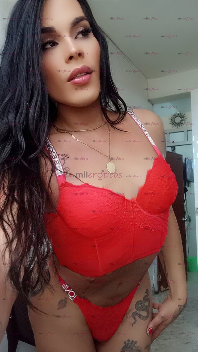 FOTOS DE BUENA VERGA GRUESA VENOSA EXCELENTE ERECCIÓN DOMINANTE