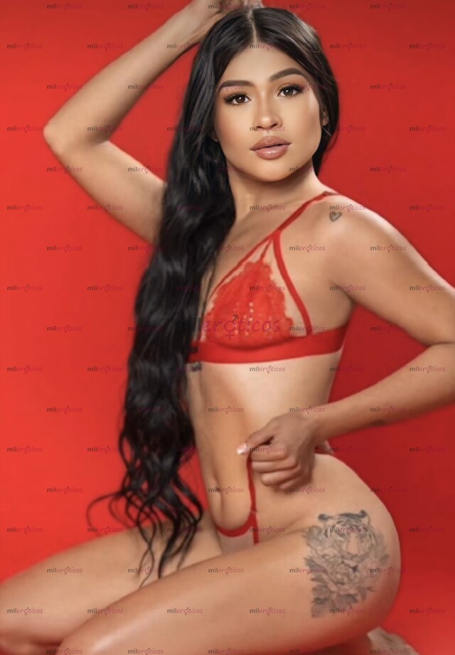 FOTOS DE PROMO ULTIMAS HORAS EN MERIDA SOFI SUPER PETIT MIDO 1.50MTS TRATO DE NOVIOS