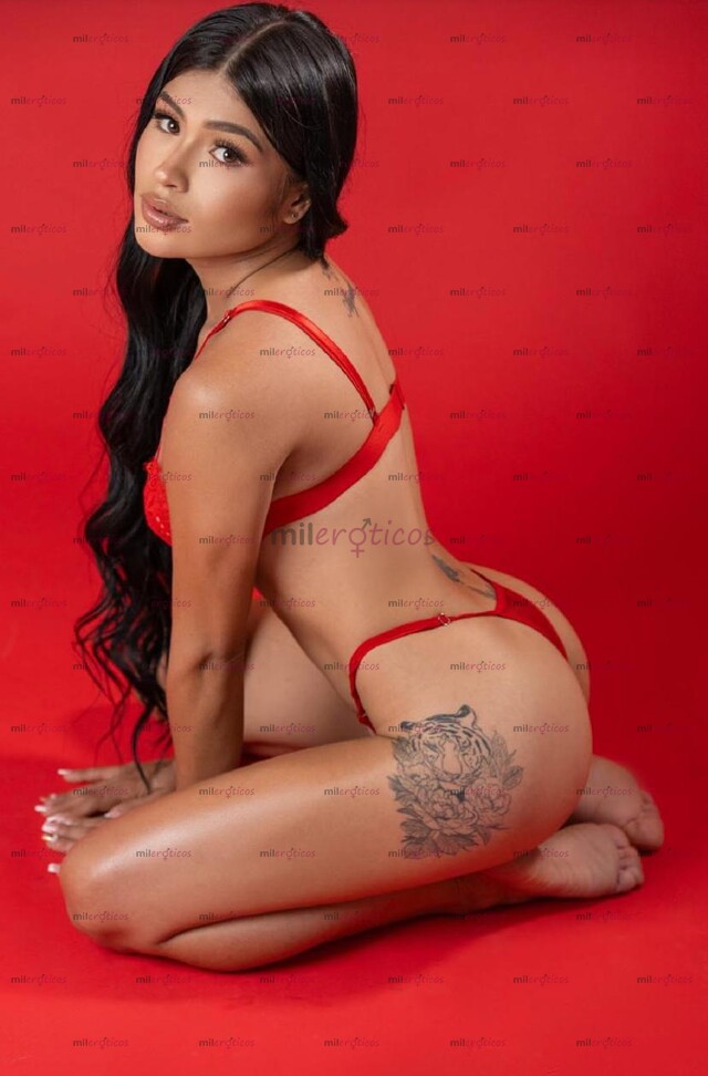 FOTOS DE PROMO ULTIMAS HORAS EN MERIDA SOFI SUPER PETIT MIDO 1.50MTS TRATO DE NOVIOS