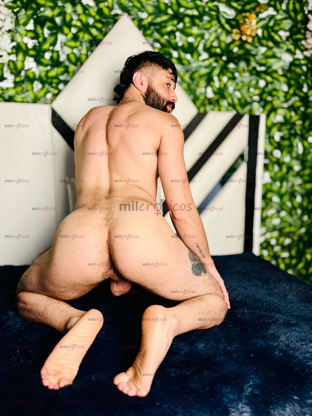 FOTOS DE PELUDO SIN CASI LÍMITES, COMPLACIENTE, VERSÁTIL MUY CALIENTE Y CERDO