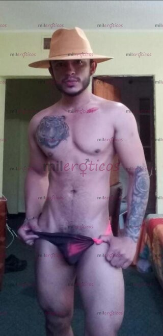 FOTOS DE 19CM COLOMBIANO VERGON DISPONIBLE EN TU CIUDAD