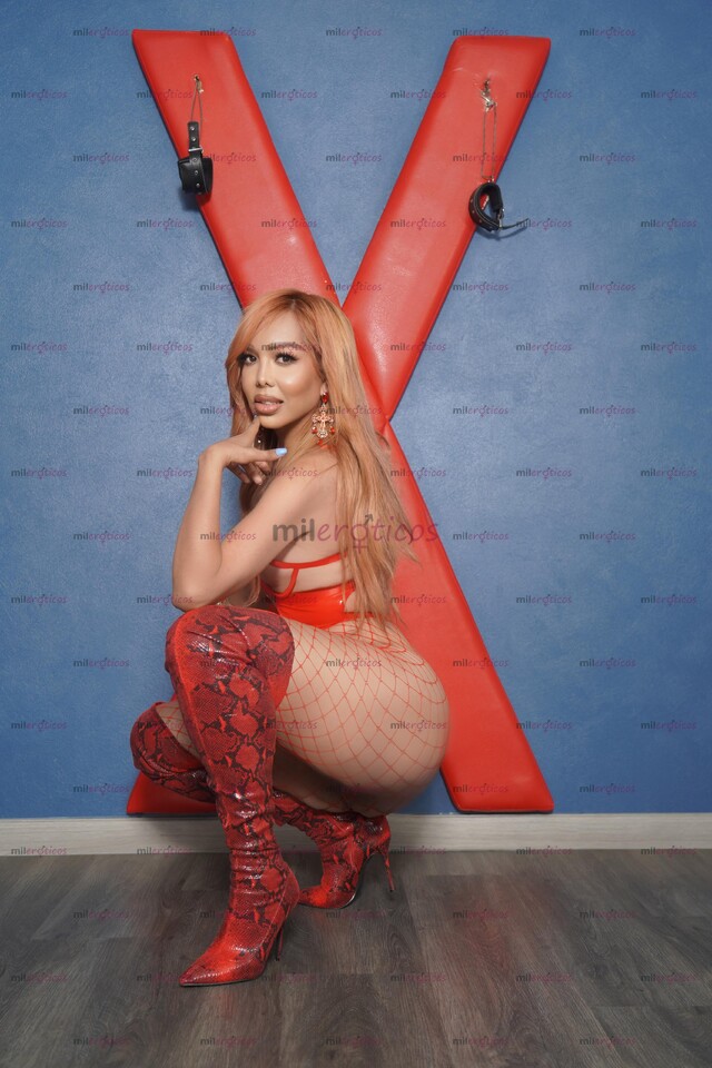 FOTOS DE DOMINANTE SEXX SUCIO AMANTE DEL VICIOS DISPUESTA A SACIAR,TUS SUCIOS INSTINTOS