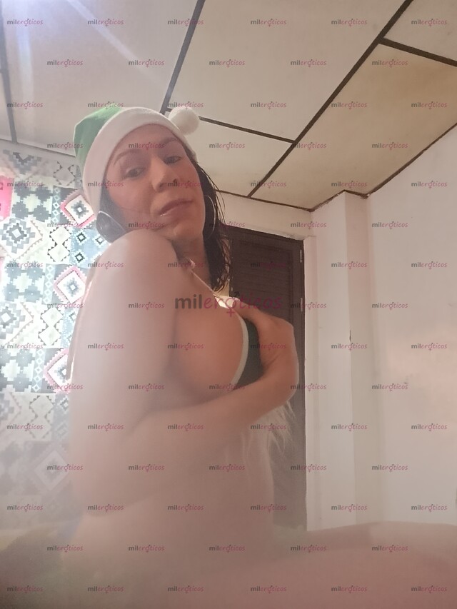 FOTOS DE SOY TU MEJOR REGALO NAVIDEÑO CHICA TRANS SUPER DOTADA Y EXTROVERTIDA