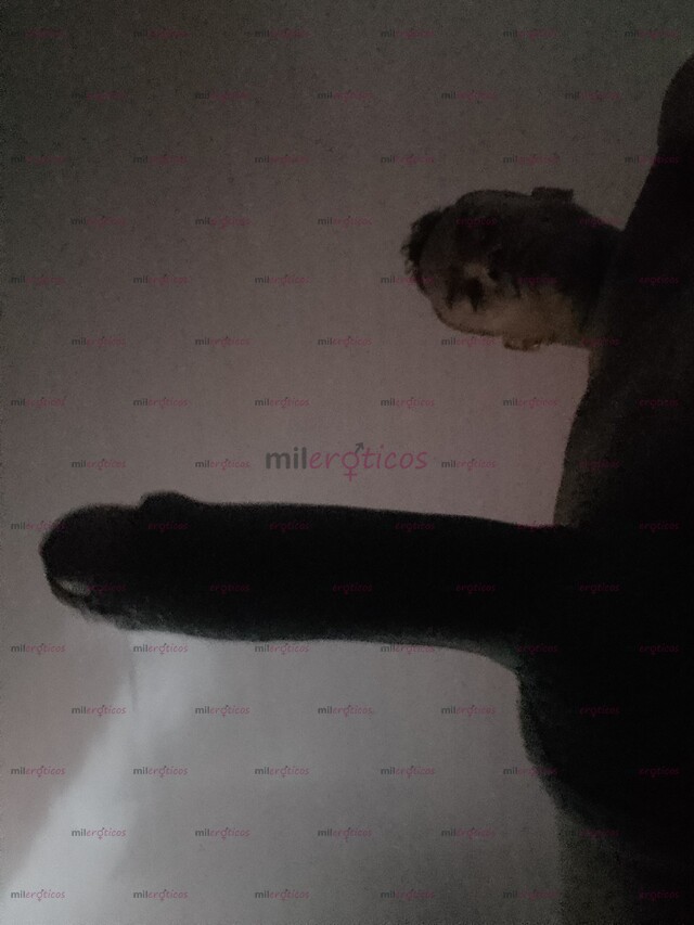 FOTOS DE EL MORBOSO QUE ABRE TU MENTE Y DESPIERTA ESE PLACER OCULTO.