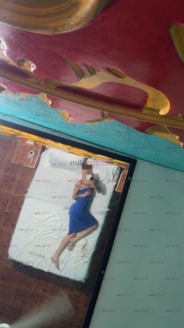 FOTOS DE PUTITA DE BUEN NIVEL GUAPA SEXOSA POR TODOS LADOS ME COGES