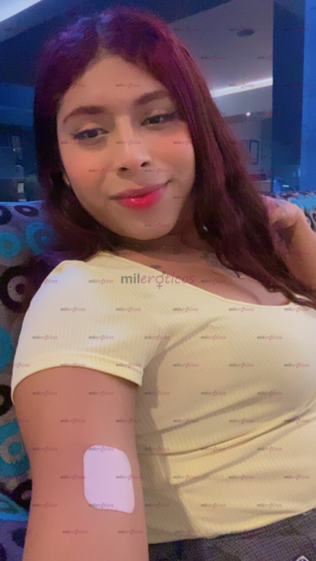 FOTOS DE NENITA TRANS ESTA EN TU CD NENITA TRANS ESTA EN TU ZONA...