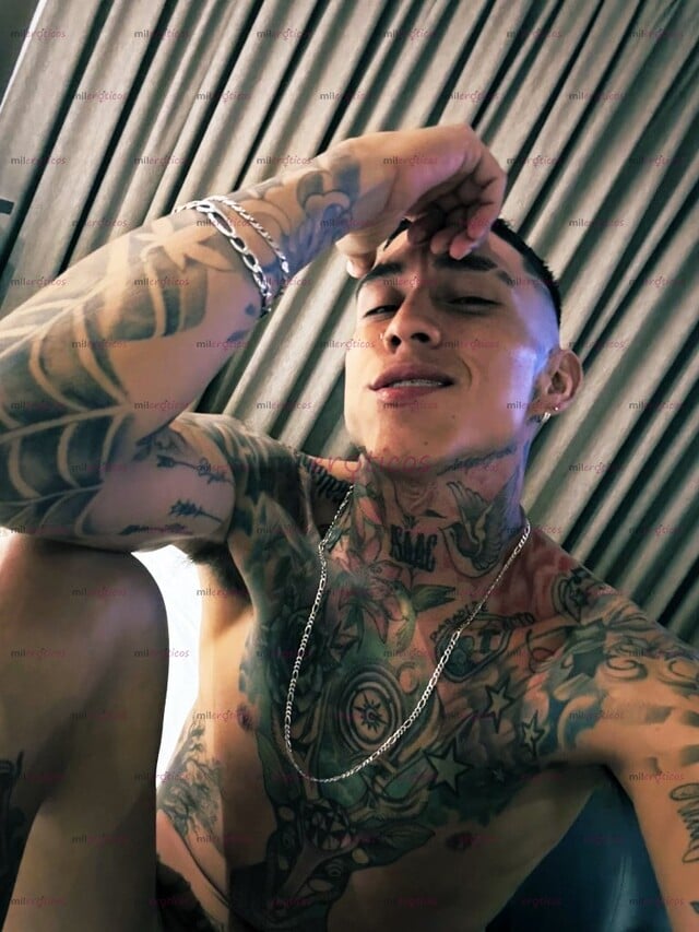 FOTOS DE TU CHAKAL FAVORITO DISPONIBLE PARA TI LLÁMAME Y NOS PONEMOS DE ACUERDO 19 CM