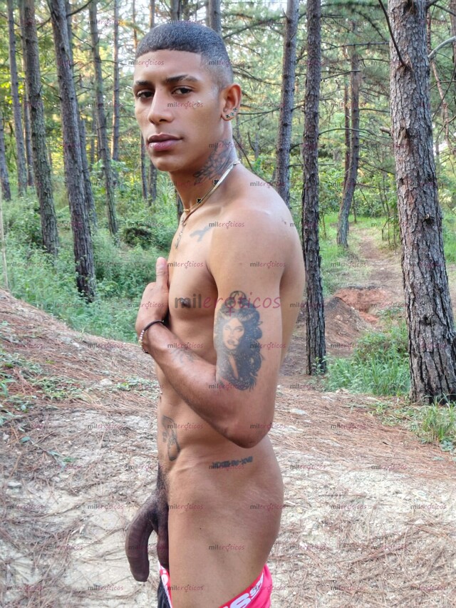 FOTOS DE POLLO VERGON 22 CM VENTA DE CONTENIDO 3147939720