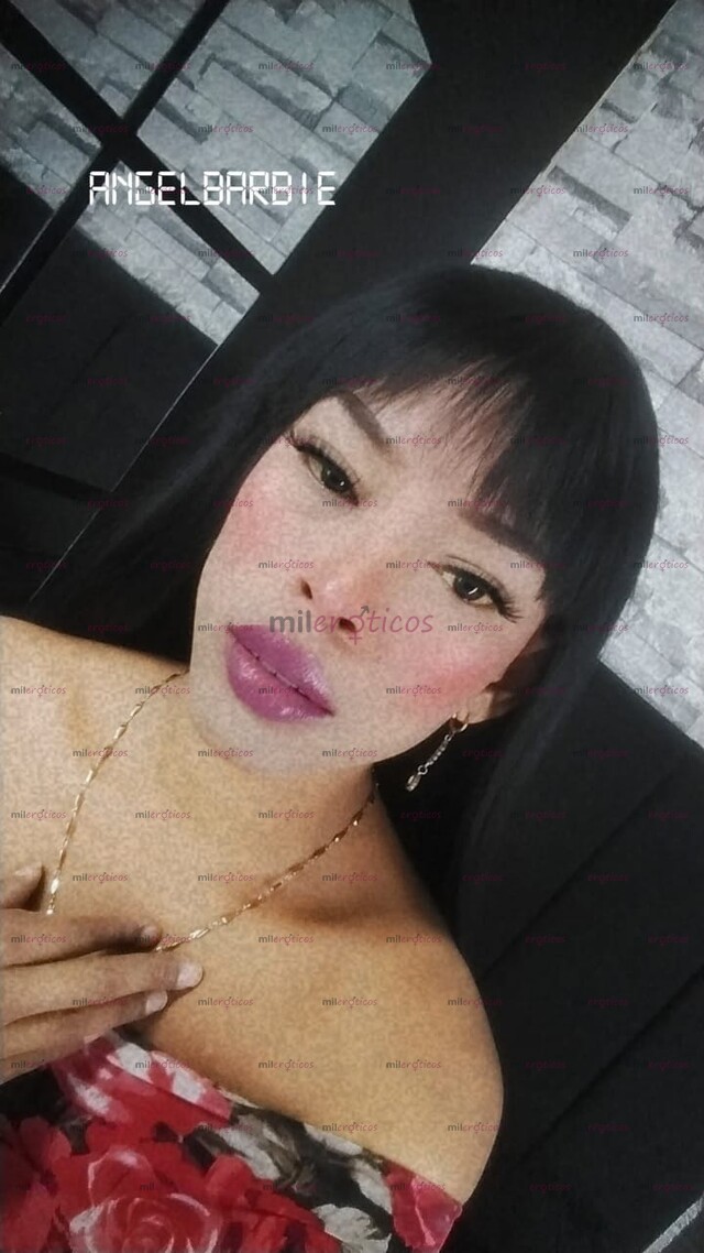 FOTOS DE POLLITA MUY FEMENINA DOTADA VERSÁTIL Y CON SITIO