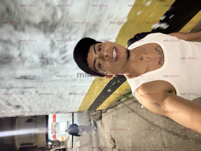 FOTOS DE MORENO SANTANDEREANO LECHERO NUEVO EN TU CIUDAD