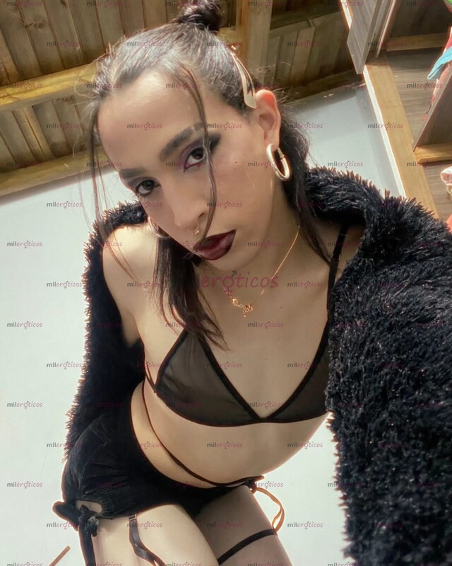 FOTOS DE THE PRETTY GIRL PAMELA MATTEL WS 3112586803