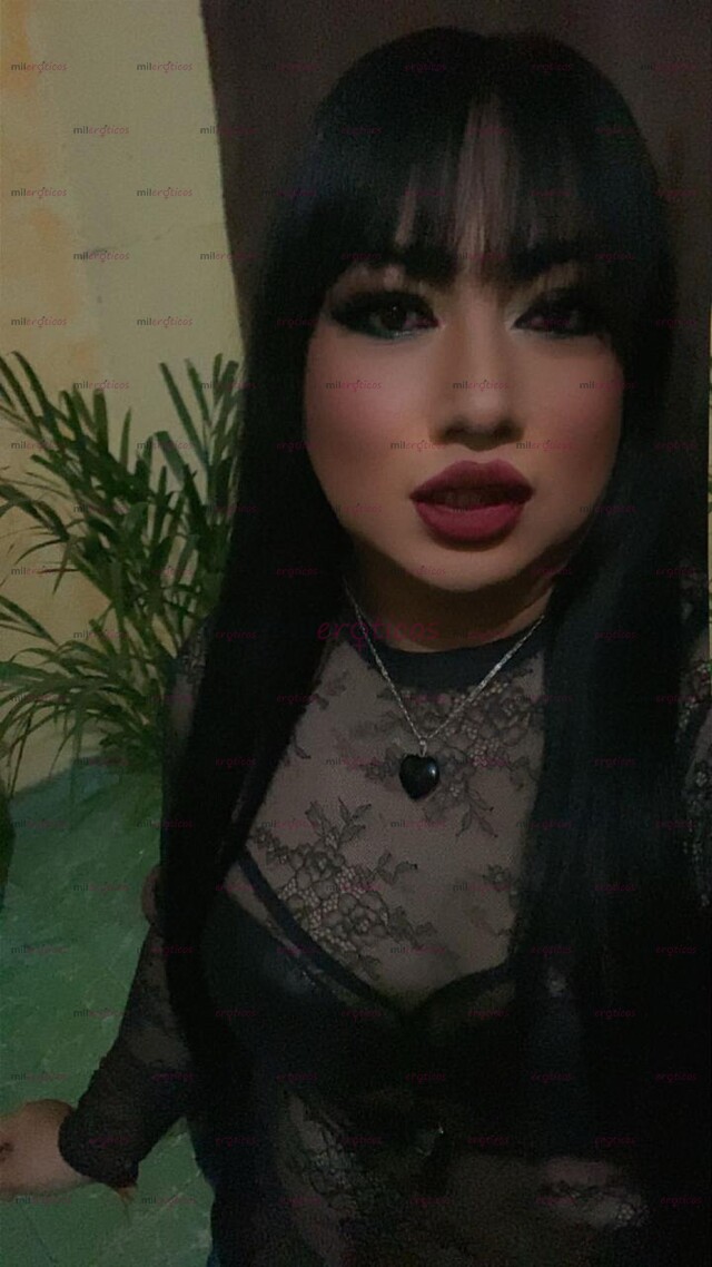 FOTOS DE TE GUSTAN LAS PUTITAS TRANS DISCRETAS Y BUENA ONDA?