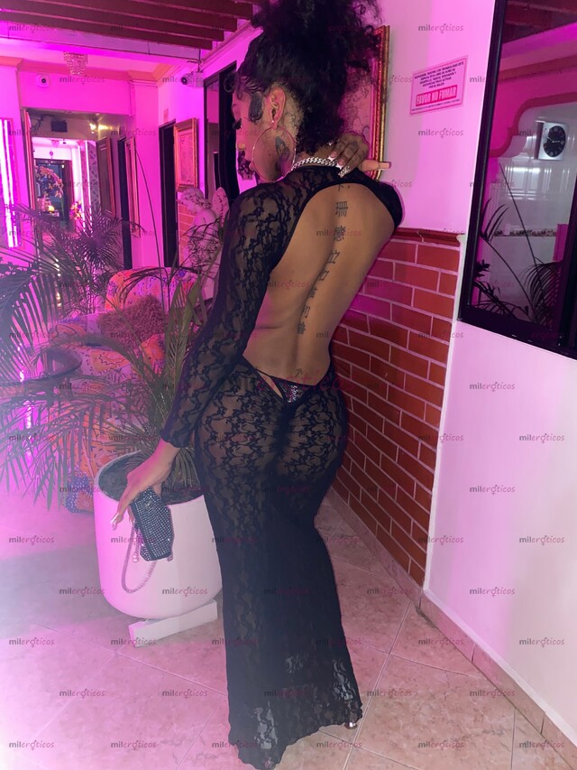 FOTOS DE MORENA, DOTADO, VERSÁTIL, COMPLACIENTE EN TU CIUDAD