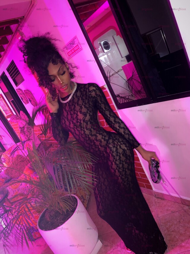 FOTOS DE MORENA, DOTADO, VERSÁTIL, COMPLACIENTE EN TU CIUDAD