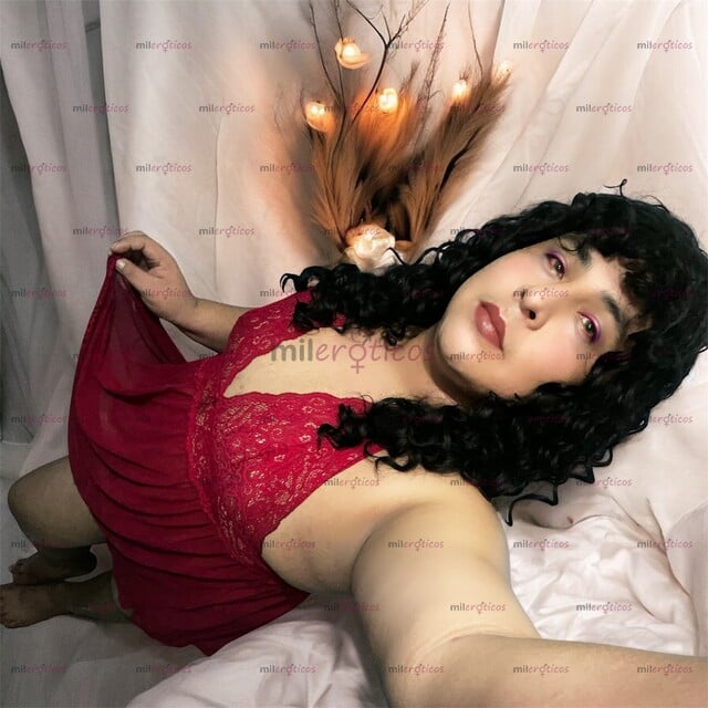 FOTOS DE CHICA TRANS GORDITA DISCRE. Y LIMPIA TE OFREZCO EL SERVI CIO DE MASAJES ERÓTICOS
