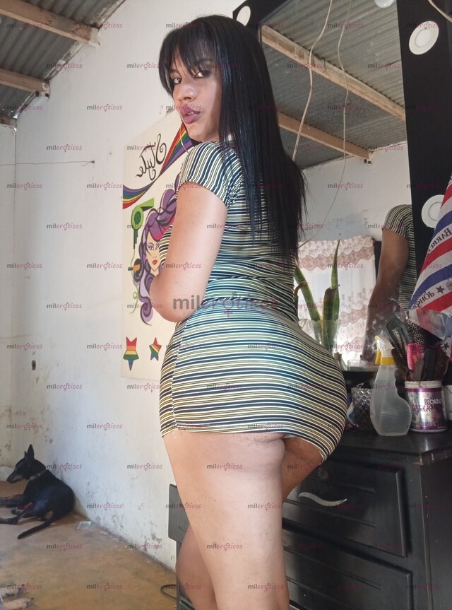FOTOS DE DAYANA TRANS CULIONA ARRECHA MAMADORA DE VERGA PROFUNDA DISPUESTA A TODO