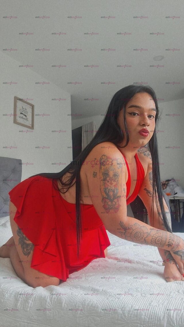 FOTOS DE SOY PIERNONA CULONA 16CM DE VERGA ERECTA TE FOLLO O ME FOLLAS APARTAMENTO!