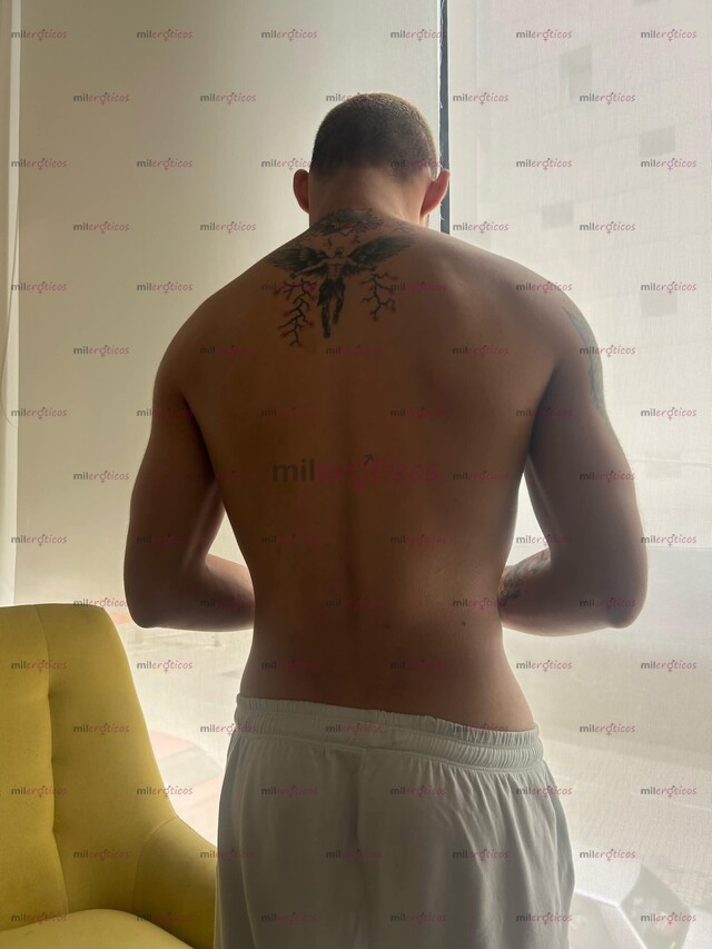 FOTOS DE HEY LLEGÓ MAIKEL CANTILLO 20 CM DOMINANTE ACTIVO LECHERO CON SITIO
